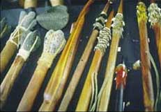 weapons of ancient hawaii
