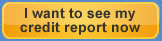 Credit Score