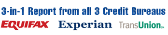 Credit Report Score